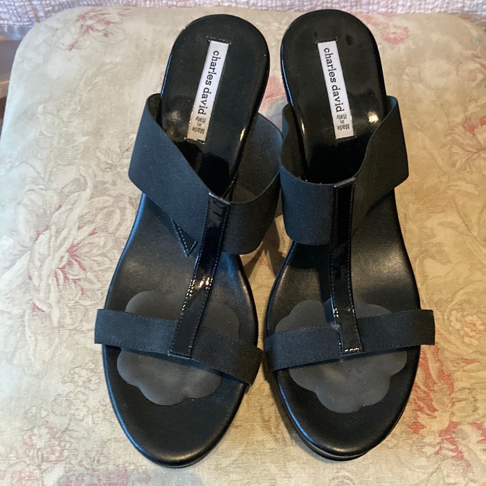 Charles David Shoes